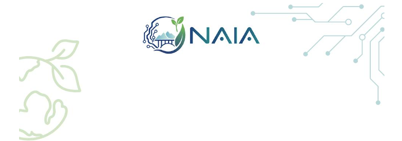 Illustration projet NAIA